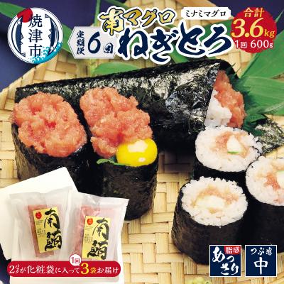 ふるさと納税 焼津市 【定期便】南マグロねぎとろ600g＜6人前＞×6回(b100-074)