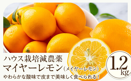 （先行予約）【南信州レモン】ハウス栽培減農薬「マイヤーレモン」（1.2kg）と無添加「マイヤーレモン ママレード」（150g×1個）