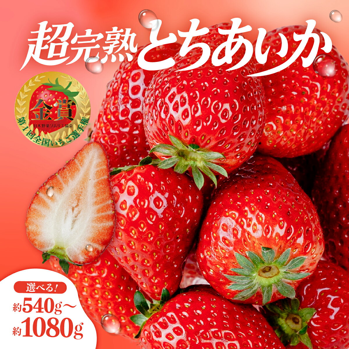 【ふるさと納税】〈先行受付〉いちご 「茂木完熟いちご」いちご選手権金賞農園の 朝採れ とちあいか 540g 1080g 選べる発送月＆内容量 | いちご イチゴ 苺 とちあいか 定期便 金賞 ブランドいちご果物 フルーツ くだもの 旬 産地直送 栃木県産 美土里農園 栃木県 茂木町