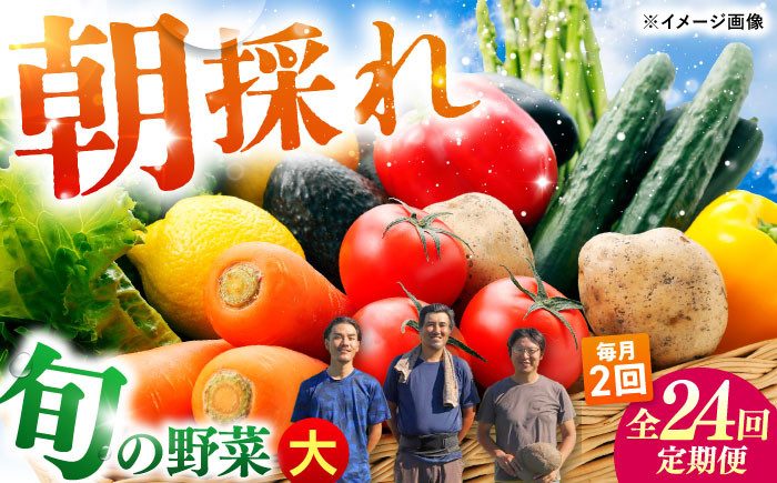
            【24回定期便・月2回配送】 土佐の太陽をいっぱいに浴びた旬の野菜セット「大」10〜13品目 / 高知 土佐 旬 野菜 詰め合わせ セット 仕送り 【土佐野菜】 [ATBA018]
          