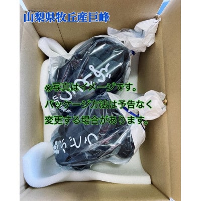 山梨県産種なし巨峰　1kg(2～3房)【配送不可地域：離島・沖縄県】