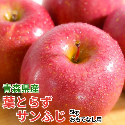 平均糖度13度以上! 葉とらずサンふじ 約5kg おもてなし用【配送不可地域：沖縄県】