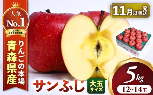 りんご【サンふじ】約5kg（12～14玉・大玉サイズ）【2026年産・先行予約】★2026年11月下旬～12月上旬頃発送予定★ 青森県三戸町産 アップル 林檎 フルーツ 果物 果実 青森県産 三戸 贈答 ギフト プレゼント 産地直送 農家直送 送料無料  青森県三戸町 AK-25-076