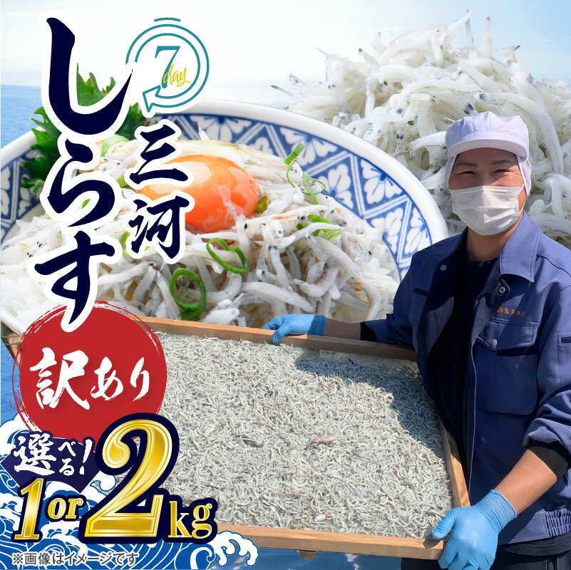 【ふるさと納税】訳あり しらす干し 選べる容量 1～2kg 三河しらす 国産 新鮮 しらす 釜茹で 塩分控えめ まろやか やみつき ごはんのお供 おつまみ しらす丼 パスタ サラダ 魚 海産物 冷凍 お取り寄せ グルメ 食品 ランキング急上昇 愛知県 碧南市 送料無料