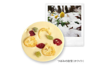チョコレート 風景のディスク（箱入り6枚セット） チョコ お菓子 洋菓子 自然美 凝縮 芸術的スイーツ 風景 樹皮イメージ 刻印 美しい 味わい深い 五感で楽しむ DRYADES 文京区 東京都