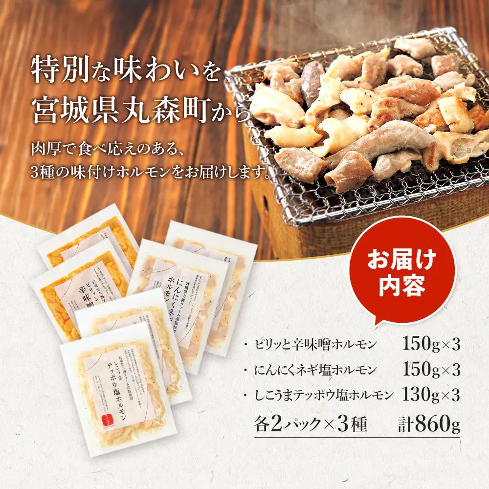 【古今東北】 丸森町大槻ファーム 豚ホルモン3種セット(計860g）【30102】