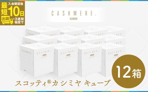 スコッティ カシミヤ キューブ 80組(1箱)×12箱【入金確認後、最短10日～3週間程度で発送】 | 日用品 箱ティッシュ 160枚 12箱 コンパクト 洗面台 洗面所 ドレッサー 花粉症 柔らかい 優しい やさしい サイズ 車用 オフィス 職場 デスク おしゃれ お洒落 デザイン テーブル 店舗 シンプル 上質 埼玉県 草加市