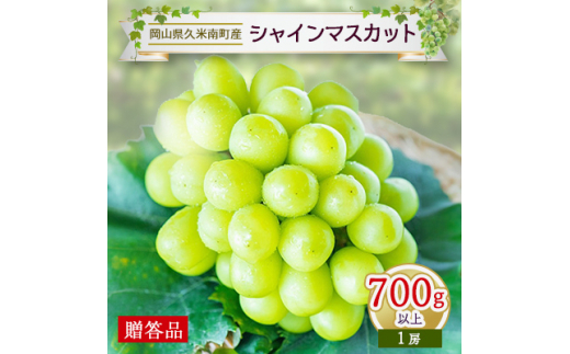 久米南シャインマスカット700g以上(1房)＜贈答品＞【1016879】