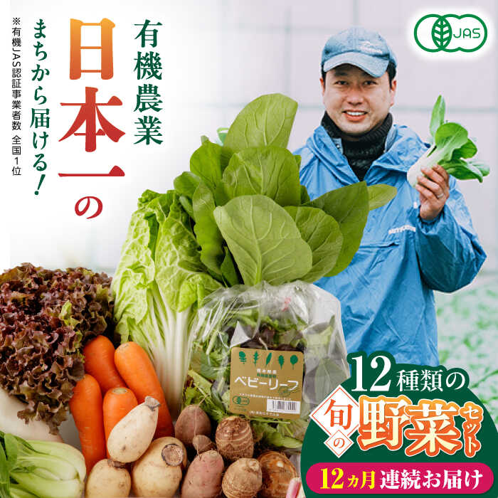 【ふるさと納税】【全12回定期便】四季を味わう野菜12種セット 熊本産 農薬不使用 旬の野菜 山都町【株式会社 肥後やまと】[YAF022]