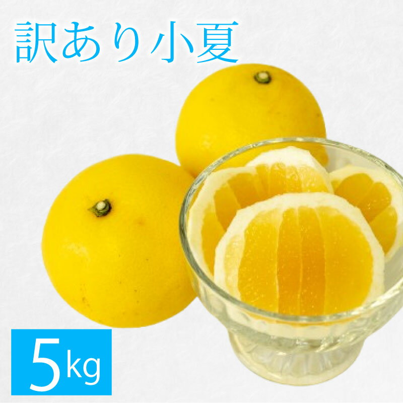 【ふるさと納税】 先行予約 訳あり 小夏 5kg 期間限定 数量限定 フルーツ 果物 くだもの 柑橘 みかん 日向夏 訳アリ 国産 食品 デザート おやつ ご家庭用 ご自宅用 傷あり 産地直送 高知県 須崎市 送料無料