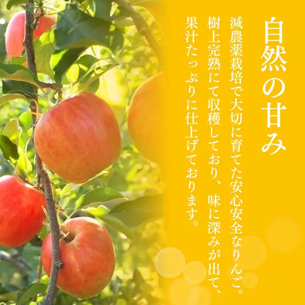 【11月下旬発送 先行予約】樹上熟成　サンふじ 3kg | りんご サンふじ 樹上熟成 糖度