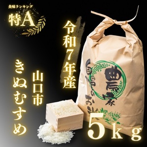 D395 農家直送！山口市産「きぬむすめ」精米5kg