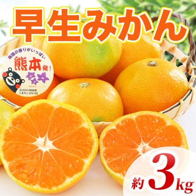 早生みかん 2S～2L 約3kg(宇城市)【1730805】