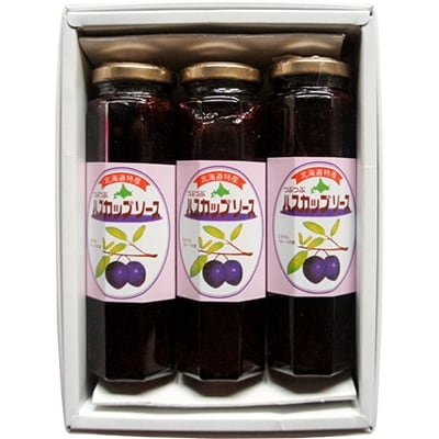 2022年9月発送開始『定期便』【北の大地の恵み】つぶつぶハスカップソース250g×9本 全3回