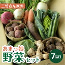 【ふるさと納税】あまっ娘　野菜セット（スタンダード） 7品目 産地直送 田原市