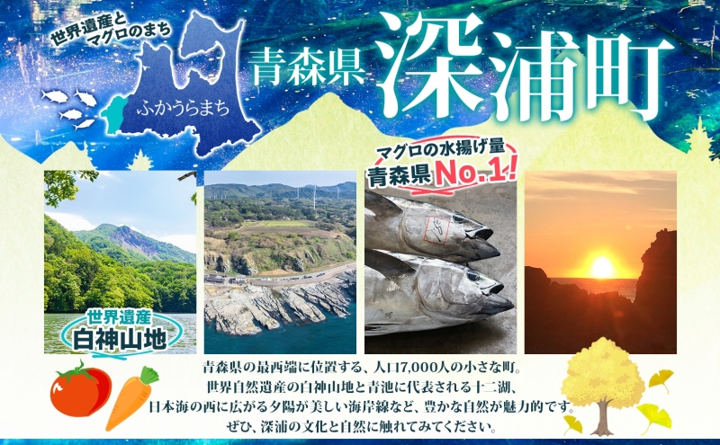青森ブランド米 まっしぐら 玄米 1袋 5kg 米 お米 コメ こめ 食品 ご飯 ごはん 和食 香り 炊き立て 国産 送料無料 つややか 青森県 深浦町産 