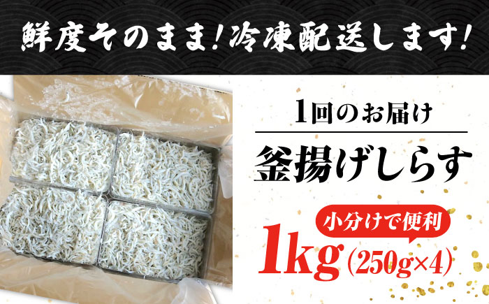 【全12回定期便】鮮度抜群＆水分率80％!ふわふわ釜揚げしらす 1kg 冷凍 シラス 鮮魚 ギフト 海鮮丼 広島県 江田島/三島水産株式会社 [XCN010] 定期便