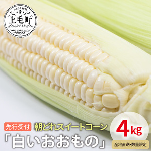 先行受付　朝どれスイートコーン「白いおおもの」4kg【産地直送・数量限定】_YF0504