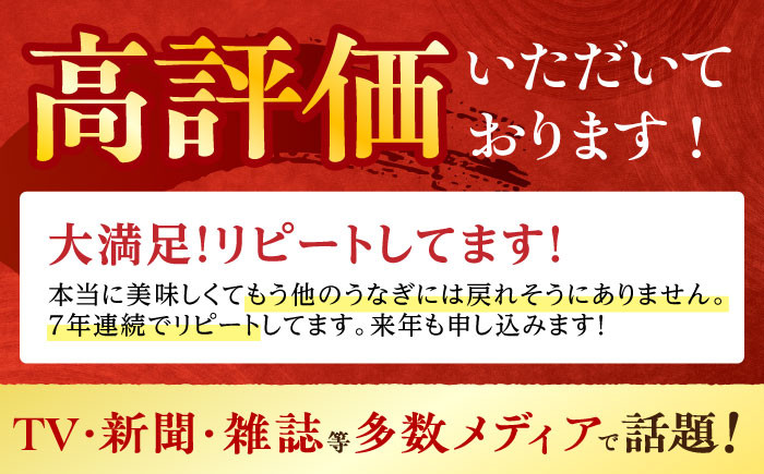 うなぎ蒲焼3尾入り 国産 うなぎ ウナギ 鰻 蒲焼 かばやき うな重 うな丼 ひつまぶし