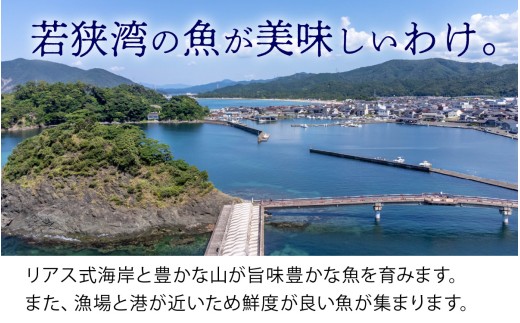 若狭湾鮮魚セット おまかせ 3kg以上（6～8魚種）【2月配送】