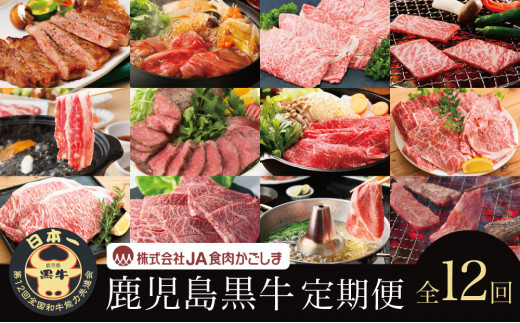 
【JA食肉かごしま】鹿児島黒牛定期便（全12回） 和牛日本一の「鹿児島黒牛」お肉 ステーキ すき焼き しゃぶしゃぶ 黒毛和牛 牛肉 定期便 南さつま市
