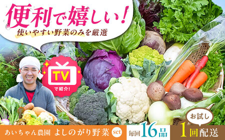【16品】農薬に頼らない！カラダにやさしい「よしのがり野菜」セット（ラージ）吉野ヶ里あいちゃん農園 [FAA009]