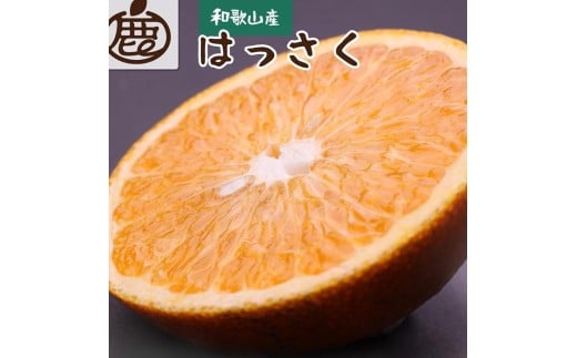 ＜先行予約＞厳選はっさく2.5kg+250g（傷み補償分）【八朔みかん】＜1月より発送＞※北海道・沖縄・離島への配送不可【ikd138A】