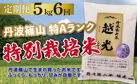 定期便 コシヒカリ 特別栽培米コシヒカリ〈 5kg 6回 〉定期便