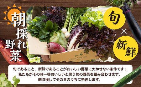 小豆島 野菜セット 定期便 年4回 瀬戸内小豆島 旬野菜 セット 詰め合わせ 農家直送 野菜 旬の野菜 季節の野菜 食品 4回 お楽しみ 香川 香川県 土庄町