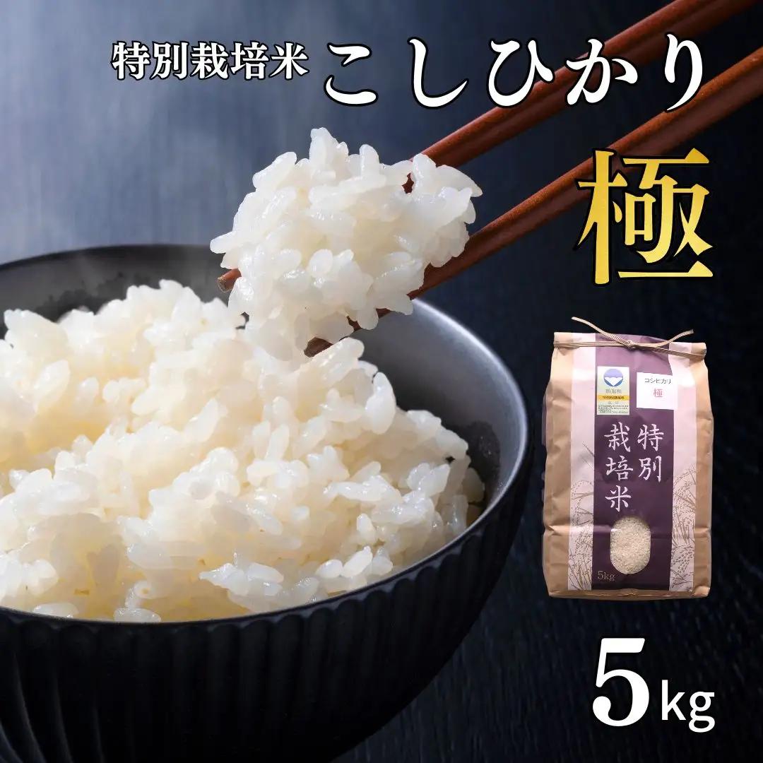 コシヒカリ 「極」 5kg 新潟県認証 特別栽培米 令和7年産 一等 コシヒカリ