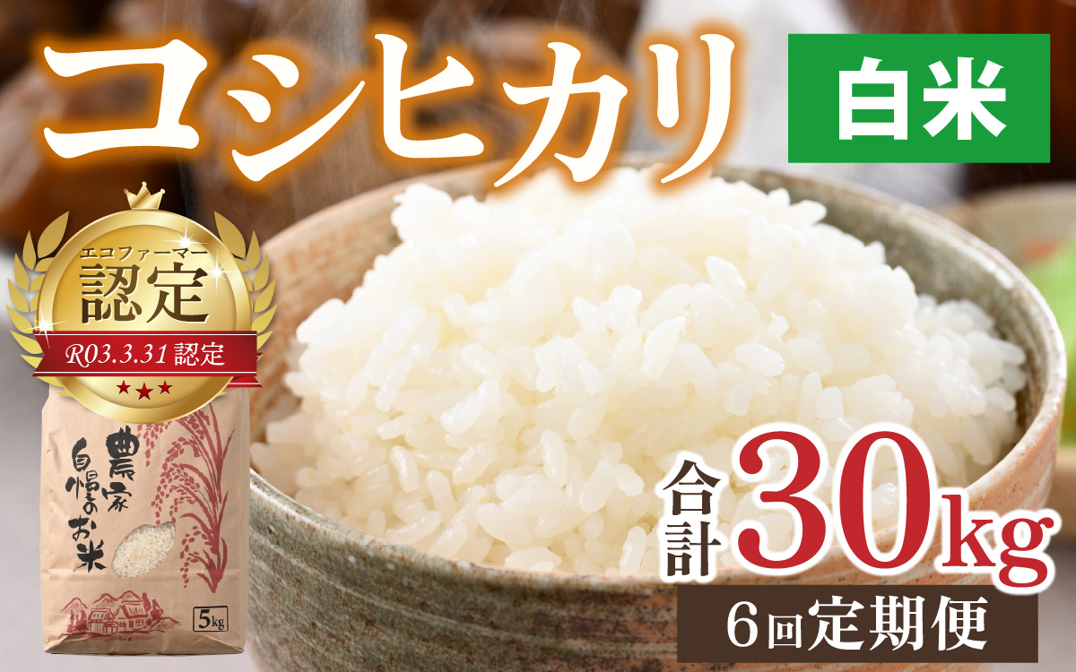 【令和7年産】【6ヶ月定期便】越前大野産 エコファーマー認定農家栽培こしひかり 白米 5kg × 6回 計30kg