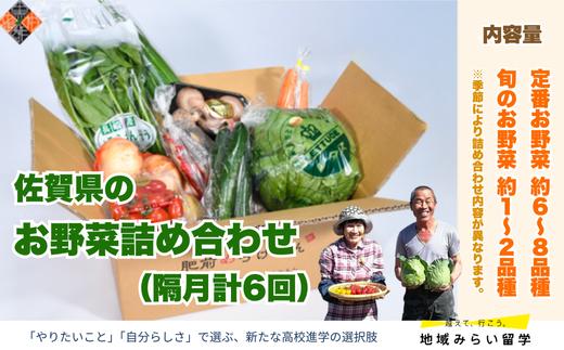 
            【定期便セット】佐賀県のお野菜詰合×隔月計6回(定番6～8品目・季節2～4品目)
          
