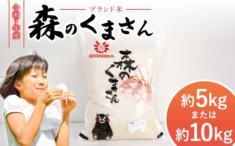 
                  令和7年産 米 森のくまさん 5kg または 10kg 【2025年11月上旬から2026年10月下旬発送予定】 白米 うるち米 お米 精米 コメ ごはん ご飯 おこめ 精白米 ブランド米 単一米 国産 熊本県産 九州 熊本県 宇城市 熊本宇城農業協同組合 JA熊本うき 
                