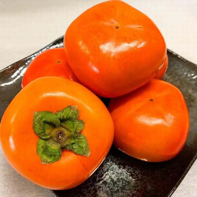 【先行予約】和歌山秋の味覚　平核無柿（ひらたねなしがき）　約4kg　化粧箱入　※2026年10月上旬頃?2026年11月上旬頃順次発送（お届け日指定不可）/ フルーツ 果物 くだもの 柿 かき カキ　