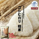 【ふるさと納税】コシヒカリ 精米10kg 茨城県共通返礼品 かすみがうら市産 米 精米 コシヒカリ米 茨城県産 共通返礼品 白米 コシヒカリ お米 コメ おこめ こめ こしひかり 有機 ブランド 健康 ギフト 贈り物 送料無料