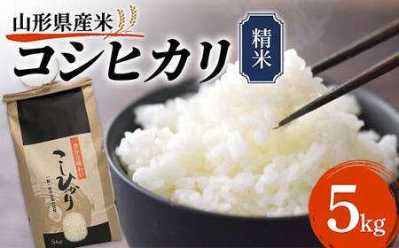 《先行予約》令和7年産 山形県産米 コシヒカリ 5kg こしひかり 精米 米 お米 おこめ 山形県 新庄市 F3S-2508