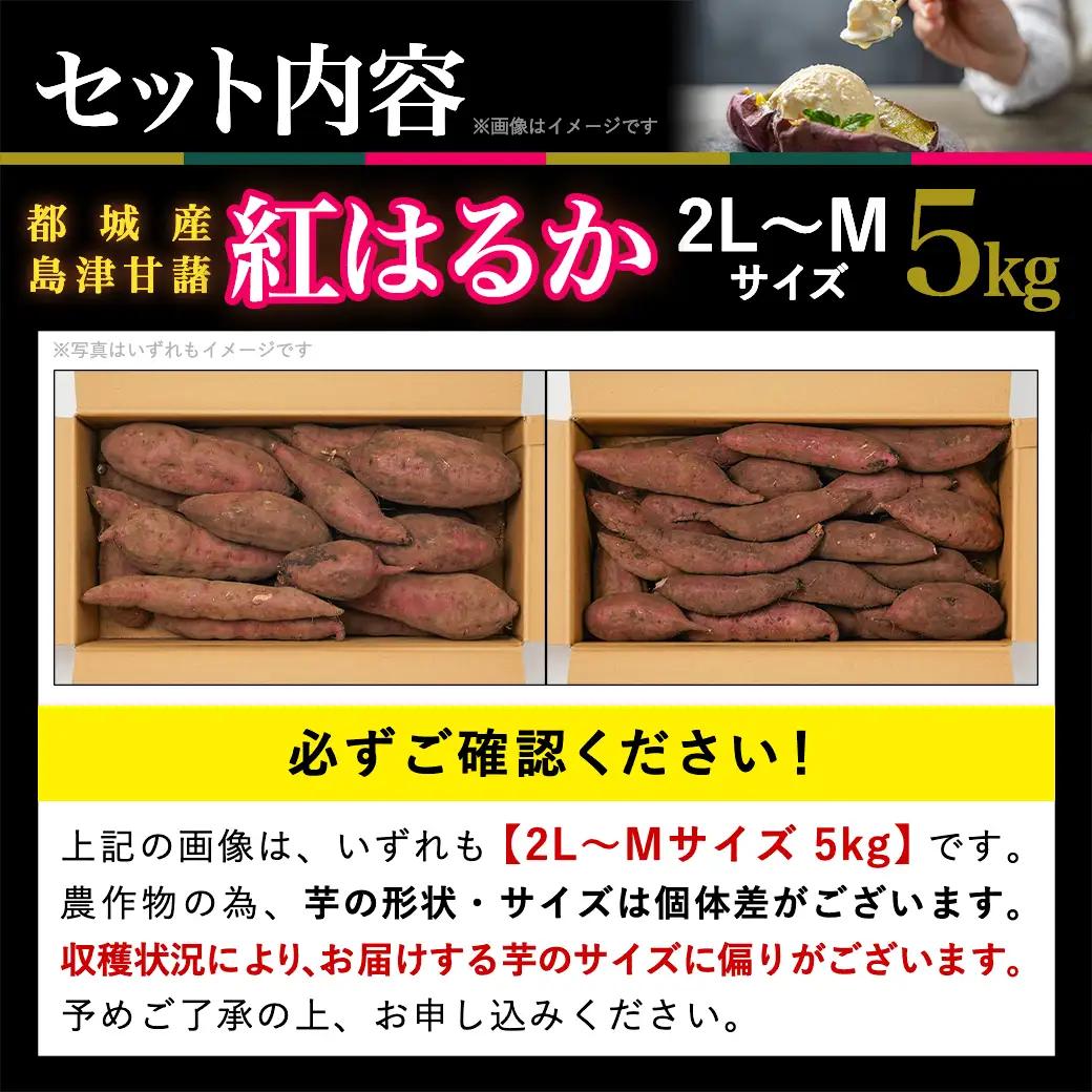 先行受付!【11月お届け】島津甘藷　熟成紅はるか 5kg(2L～M)_LE-A7-001-5kg-11_(都城市) 島津甘藷 紅はるか 未選別 5kg 2L～M