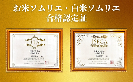 【先行予約】令和8年産 3ヶ月定期便 五泉市産 特別栽培米 コシヒカリ 10kg(5kg×2袋)
