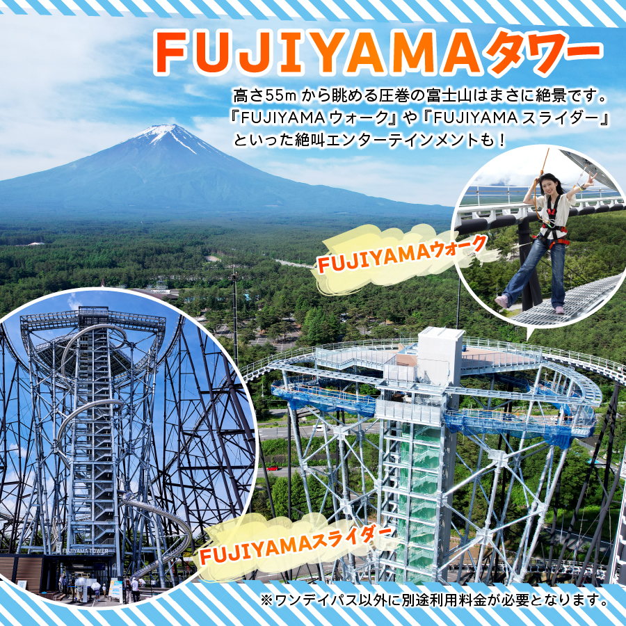 【 富士急ハイランド 】 ワンデイパス ペアチケット 富士急ハイランド 遊園地 テーマパーク