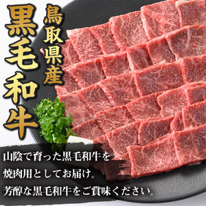 鳥取黒毛和牛もも焼肉用(360g)国産 鳥取県産 もも 牛肉 お肉 肉 牛脂 冷凍 オリジナル調味塩 お取り寄せ ギフト プレゼント 誕生日プレゼント お祝い【sm-AP007】【いろは精肉本店】