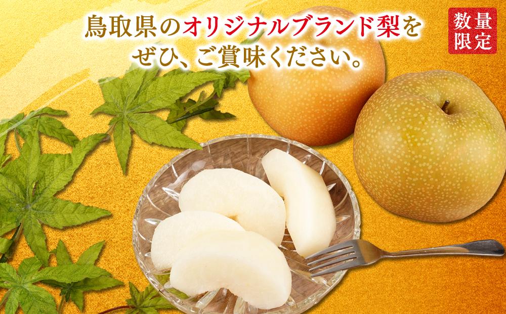 【先行予約】梨 秋甘泉 鳥取産 5kg× 1箱