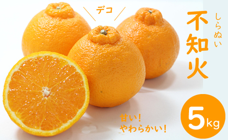 【先行予約】ご家庭用 不知火（しらぬい）５kg  R8年4月より発送 デコっとしてポン B140-029