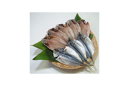 山陰浜田 創業大正10年香住屋のこだわり干物「どんちっちあじ一夜干し」魚介類 干物 おつまみ おかず あじ 一夜干し 【1975】