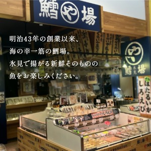 【隔月6回】一夜干し4種詰合せ定期便《カマス・アジ・イワシ・スルメイカ》 富山県 氷見市 定期便 干物 かます あじ 鰯 いわし いか おかず 一品