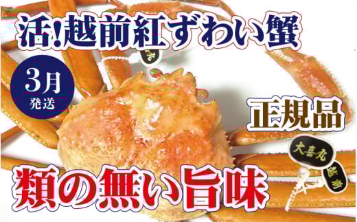 活！越前 紅ずわいがに × 1杯 旨味満点！！【紅ズワイガニ 紅ずわい蟹 かに カニ 蟹 姿 生 ボイル 冷蔵 福井県】【3月発送分】【浜茹でお届け】希望日指定不可 [e37-x002_03b]