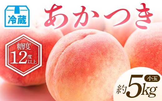 
                  【2026年出荷分先行予約】<冷蔵配送>福島県産 特秀 あかつき 約5kg (20～22玉) ふくしま未来農業協同組合 特秀 小玉 透過式光センサー選別 糖度12度以上 伊達の桃 桃 フルーツ 果物 もも モモ momo F21C-464
                