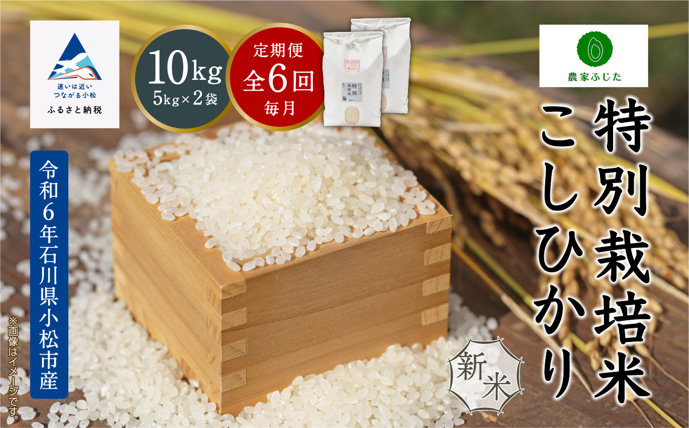 
コメ お米 コシヒカリ【定期便】農家ふじた 特別栽培米 こしひかり 精米 10kg(5kg×2袋)×6回（毎月）
