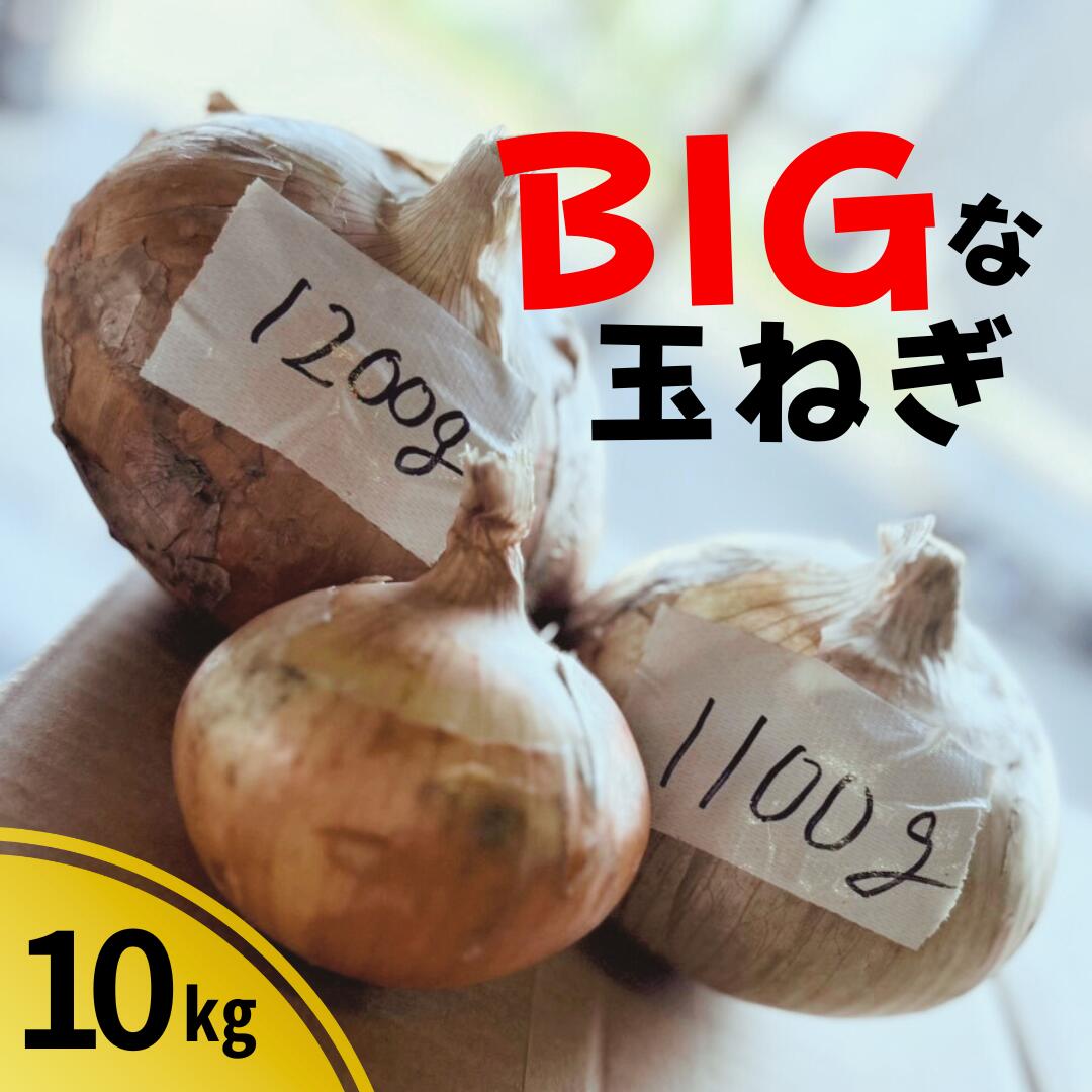 【ふるさと納税】玉ねぎ 10kg 先行予約 訳あり 数量限定 先行予約 BIG 玉ねぎ 10kg 令和7年7月〜9月発送 新鮮 生食 常温 人気 ランキング 玉ねぎ 玉ネギ バラバラ 皮剥け 10キロ タマネギ 玉葱 オニオン 国産 サラダ おすすめ 野菜 甘い 岩手県 金ケ崎町 送料無料