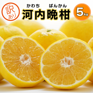 訳あり みかん職人の河内晩柑  5kg (なくなり次第終了) 河内晩柑 果物 柑橘 みかん 愛南ゴールド 蜜柑 グレープフルーツ ゼリー ジュース アイス 果物 フルーツ 健康 美容 ビタミン クエン酸 訳あり サイズミックス 規格外 送料無料 5kg 8000円 武田屋