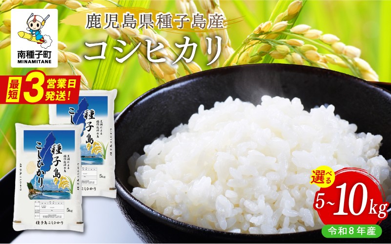 
                  《令和8年産米 新米》 種子島産コシヒカリ 5kg / 10kg 米 お米 こめ コメ 精米 白米 コシヒカリ こしひかり 食品 グルメ お取り寄せ おすそわけ 人気 おすすめ ギフト 南種子町 鹿児島 かごしま 【有限会社新栄物産】
                